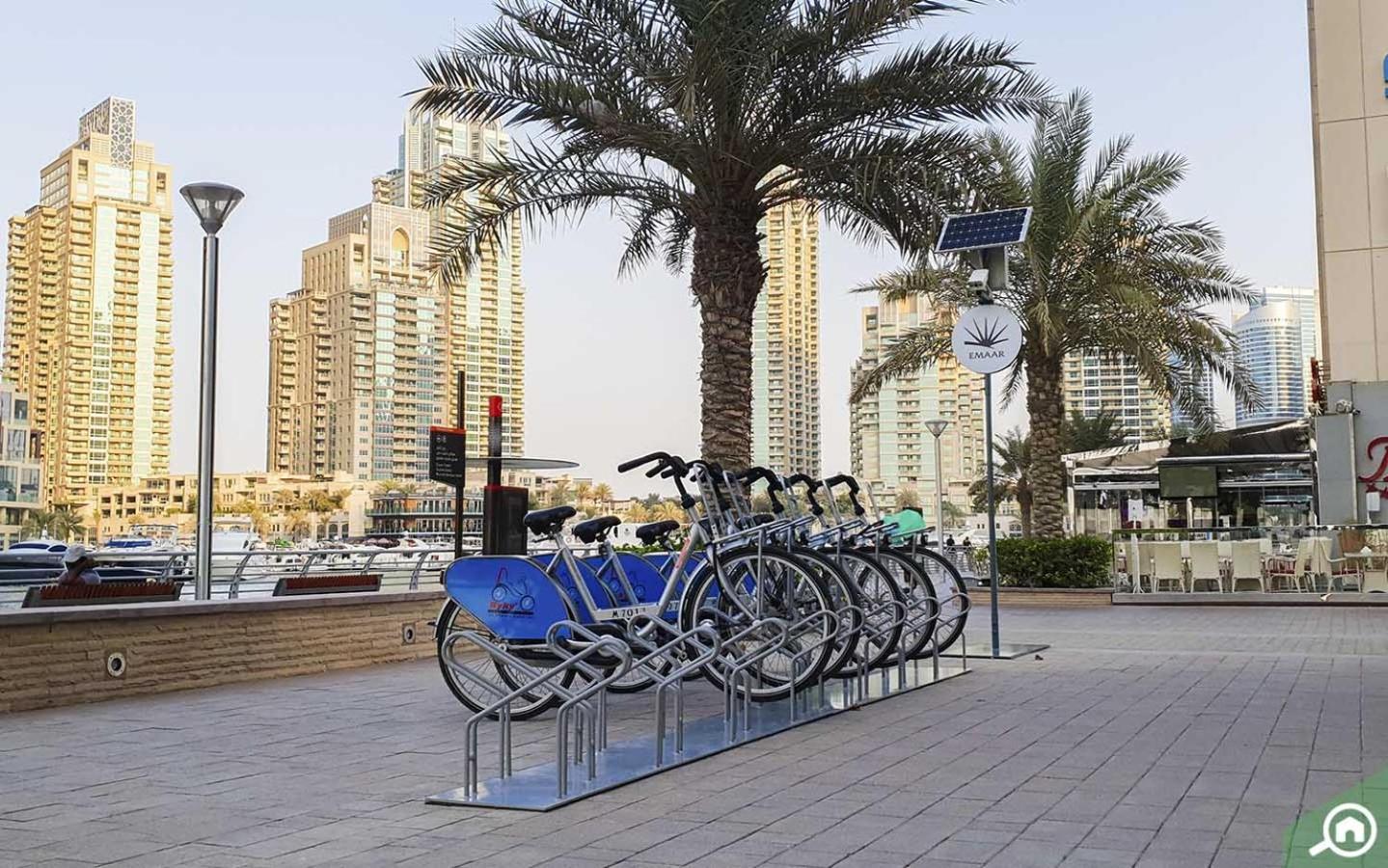 Urban Panda Hostel Marina Dubaï Extérieur photo
